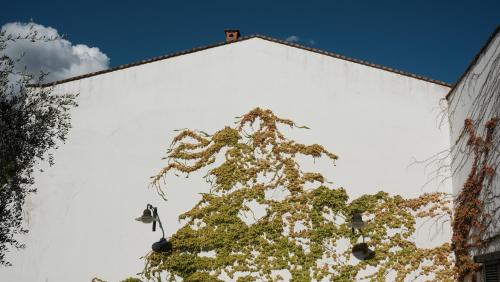 a christmas tree on the side of a building at Relais Masseria Cardillo in Metaponto