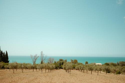 a field of trees with the ocean in the background at Villa Mancosta in Marinella di Selinunte