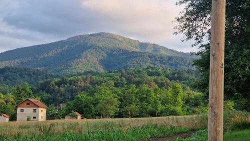Un paisaje natural cerca de la casa vacacional