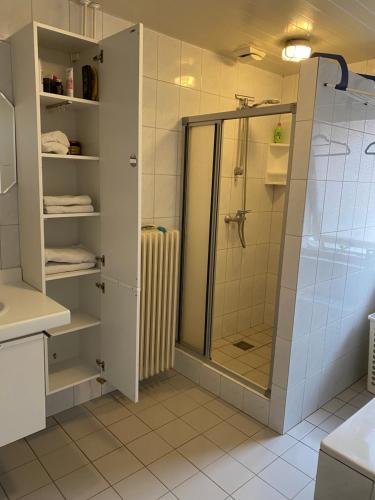 a bathroom with a shower with a glass door at Dolce Vita in Ootmarsum