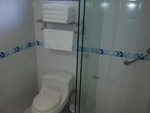 ein Bad mit einem WC und einer Glasdusche in der Unterkunft Hotel el Tesoro in San Jerónimo
