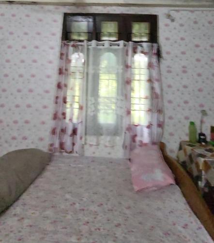 a bedroom with a bed with pink curtains and a window at Homestay within 1km from Ziro Music Festival in Ziro