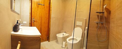 a bathroom with a shower and a toilet and a sink at Ski View - CieloAlto Cervinia in Breuil-Cervinia