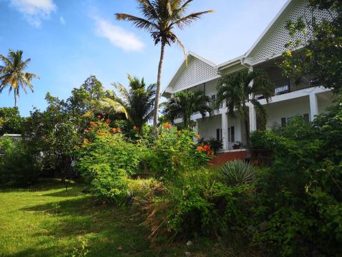 a house with a palm tree and some plants at Green Roof Inn in Carriacou