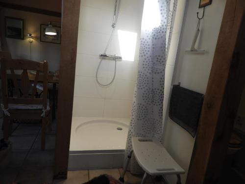 a shower with a shower curtain in a bathroom at Bed&Breakfast 't Eikeltje in Hollandscheveld