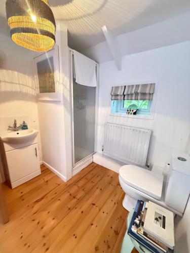 a bathroom with a toilet and a sink at The Country club - Woodland cabin 