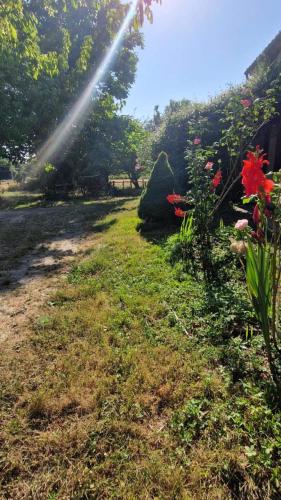 Taman di luar Chez Fatie