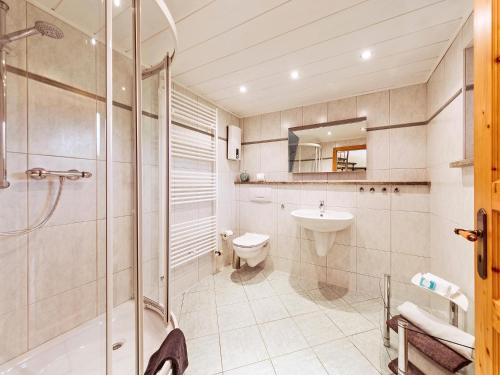 a bathroom with a shower and a toilet and a sink at Ferienhaus Am Sonnenstein in Holungen