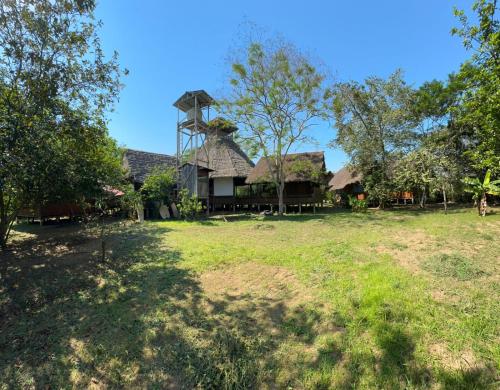 Κήπος έξω από το Capibara Hostel