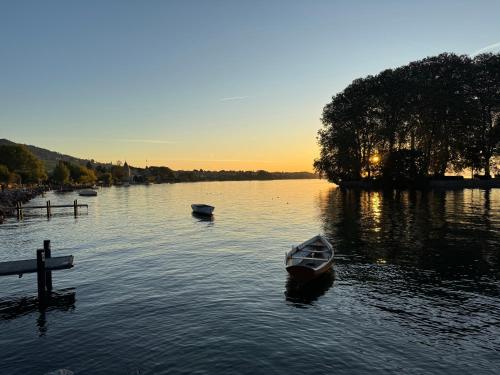 a boat sitting in the water near a dock at L'Hôtel by Hostellerie du Château in Rolle