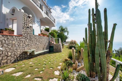 a house with cactus in front of it at Wonderful villa with swimming pool overlooking the sea, 200 steps from the road in Conca dei Marini