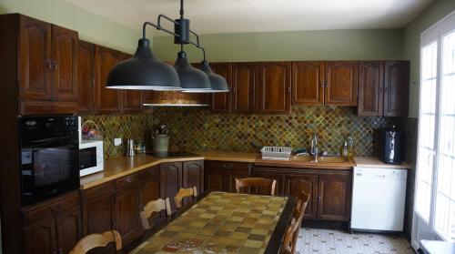 Η κουζίνα ή μικρή κουζίνα στο Isolated cottage for partying, lake, nature