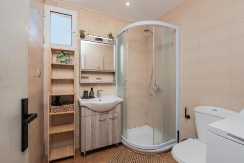 a bathroom with a shower and a sink and a toilet at Filoxenia City Apartment in Zakynthos Town