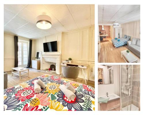 TV a/nebo společenská místnost v ubytování Le Kereon - Coeur du centre historique, rues pietonnes !