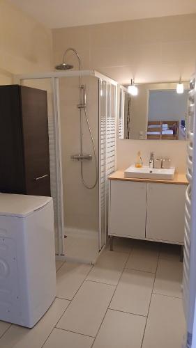 ein Badezimmer mit Dusche und Waschbecken und Dusche in der Unterkunft Appart du golf in Saint-Jean-de-Monts