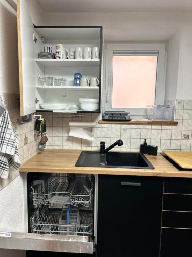 a kitchen with a sink and a dishwasher at Fe Wo auf der Alb in Wittlingen