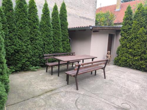 two benches and a picnic table in a garden at Georgi 1 in Subotica