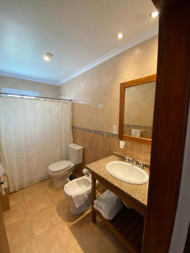 a bathroom with a sink and a toilet and a mirror at Piedra de Agua in Federación