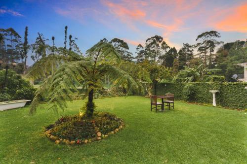 a palm tree in a circle in a yard at The Golf Green City Bungalow in Nuwara Eliya