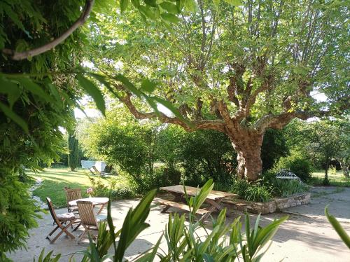 a garden with a table and chairs under a tree at belles chambres d'hôte, spacieuses et paisibles, en pays de Forcalquier in Saint-Étienne-les-Orgues