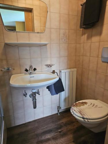 Koupelna v ubytování Haus Wiesenheim FW Ötztal