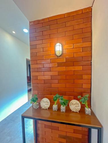 a brick wall with three plants on a table at Martos house in Dieng