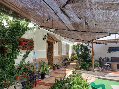 a patio with a bunch of potted plants at house carmen in Villaminaya
