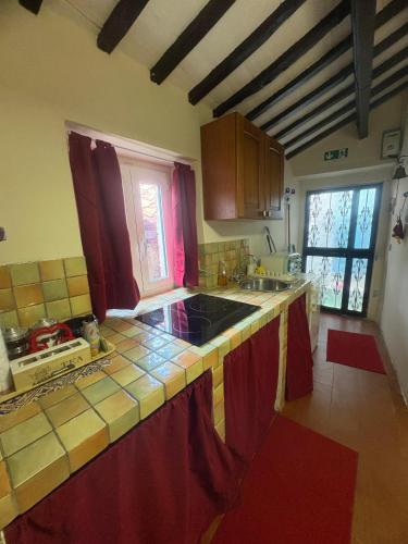 a kitchen with a sink and a counter top at A Casa du Manganu in Ponticelli