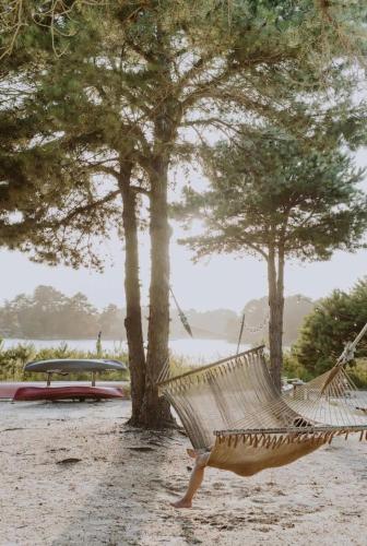 a hammock hanging from two trees on a beach at Private Lake and Hiking, The Loft at Haven in Cape May Court House