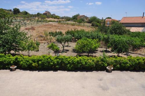 a garden with green bushes and trees on a hill at B&B La Terrazza Degli Scrittori in Racalmuto