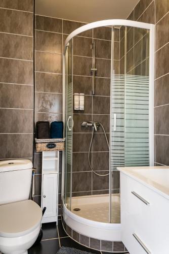 a bathroom with a shower and a toilet at Villa Mona Studio Galets quartier des Cordiers in Le Tréport