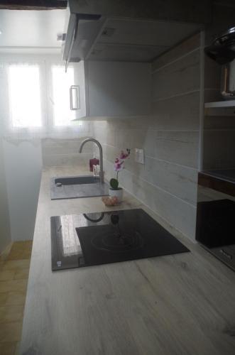 Kuchyň nebo kuchyňský kout v ubytování Typical Corsican apartment