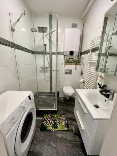 a bathroom with a washing machine and a sink at Downtown Dream Apartmans in Szeged