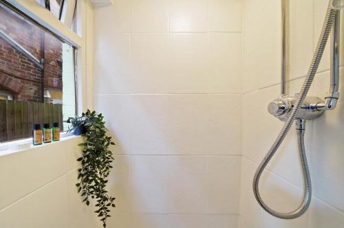 a bathroom with a shower with a plant in it at Central Harrow 5 Studio Apartment Block in Harrow