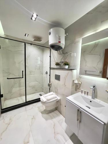 a bathroom with a shower and a toilet and a sink at City plaza pyramids view in Cairo