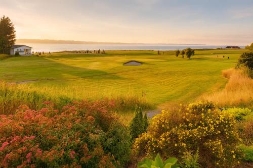 a view of a golf course with the ocean in the background at Family-friendly Cabin with pier - Herdla to Bergen - 40 min in Herlø