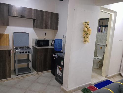 een kleine keuken met een fornuis en een magnetron bij Cozy Homes Kitengela in Nairobi