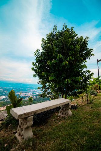 a stone bench sitting on top of a hill with a tree at GREEN APARTMENT "el bosque" in Girón