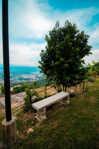 a bench sitting on top of a hill with a tree at GREEN APARTMENT "el bosque" in Girón
