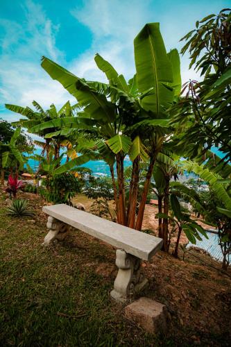 a bench sitting next to a bunch of banana trees at GREEN APARTMENT "el bosque" in Girón