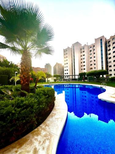 Beautiful apartment in Benidorm Bay