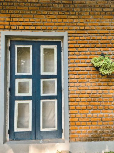 a blue window in a brick wall with a potted plant at Honey Tree Polonnaruwa in Polonnaruwa