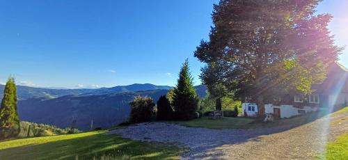 a house on the side of a hill with a road at Ferienhaus Almhorizont beim Oberen Kreuzer in Friesach