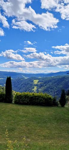 a grassy field with a view of the countryside at Ferienhaus Almhorizont beim Oberen Kreuzer in Friesach