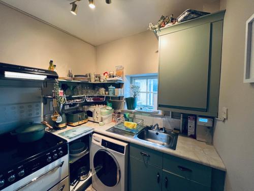 a kitchen with a sink and a washing machine at Cosy apartment in heart of Cork City in Cork