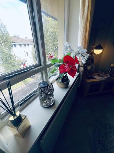 a window sill with two vases with flowers on it at Cosy apartment in heart of Cork City in Cork