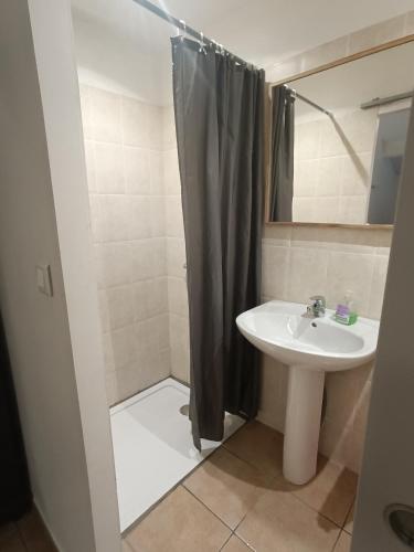 Bilik mandi di Domaine Sainte Octime - Gîte 5 chambres dans domaine viticole