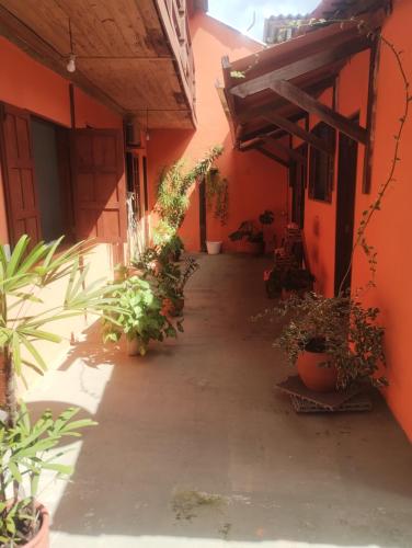 an alley with potted plants on the side of a building at Pouso Paraty in Paraty