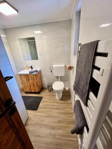 a bathroom with a toilet and a sink at Carp Land Camp in Balatonszepezd
