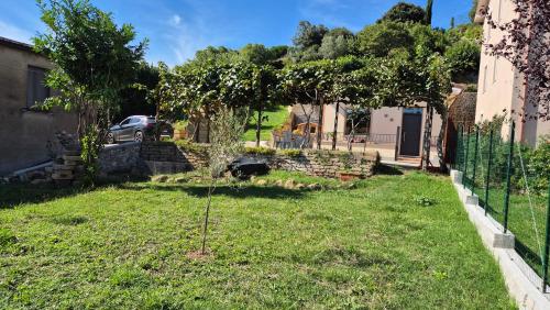 a small tree in a yard next to a fence at La Pergola del Kiwi a Pitigliano in Pitigliano